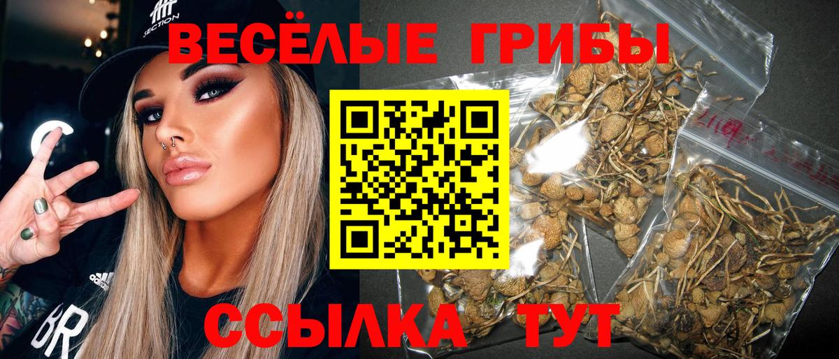 Галлюциногенные грибы Psilocybine cubensis  Псилоцибиновые грибы Psilocybe  Вход с VPN  Балтийск 