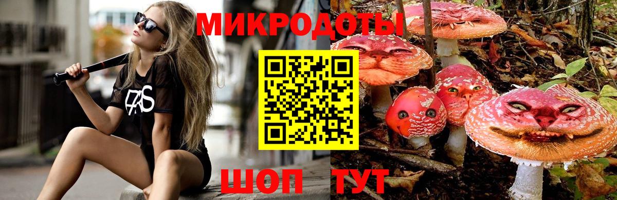 Псилоцибиновые грибы GOLDEN TEACHER Балтийск