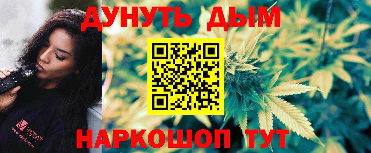Бошки Шишки гибрид Балтийск